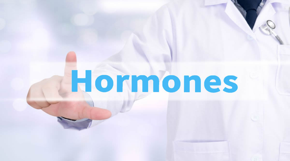 hormonological.jpg